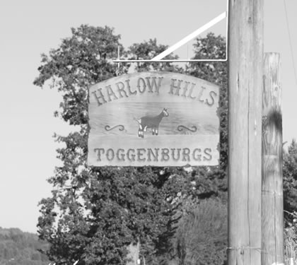 Harlow Hills Farms